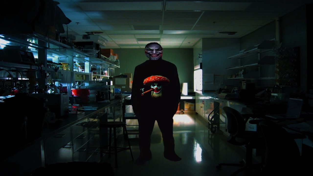 idiots laughing at instagram reels 19: the edible