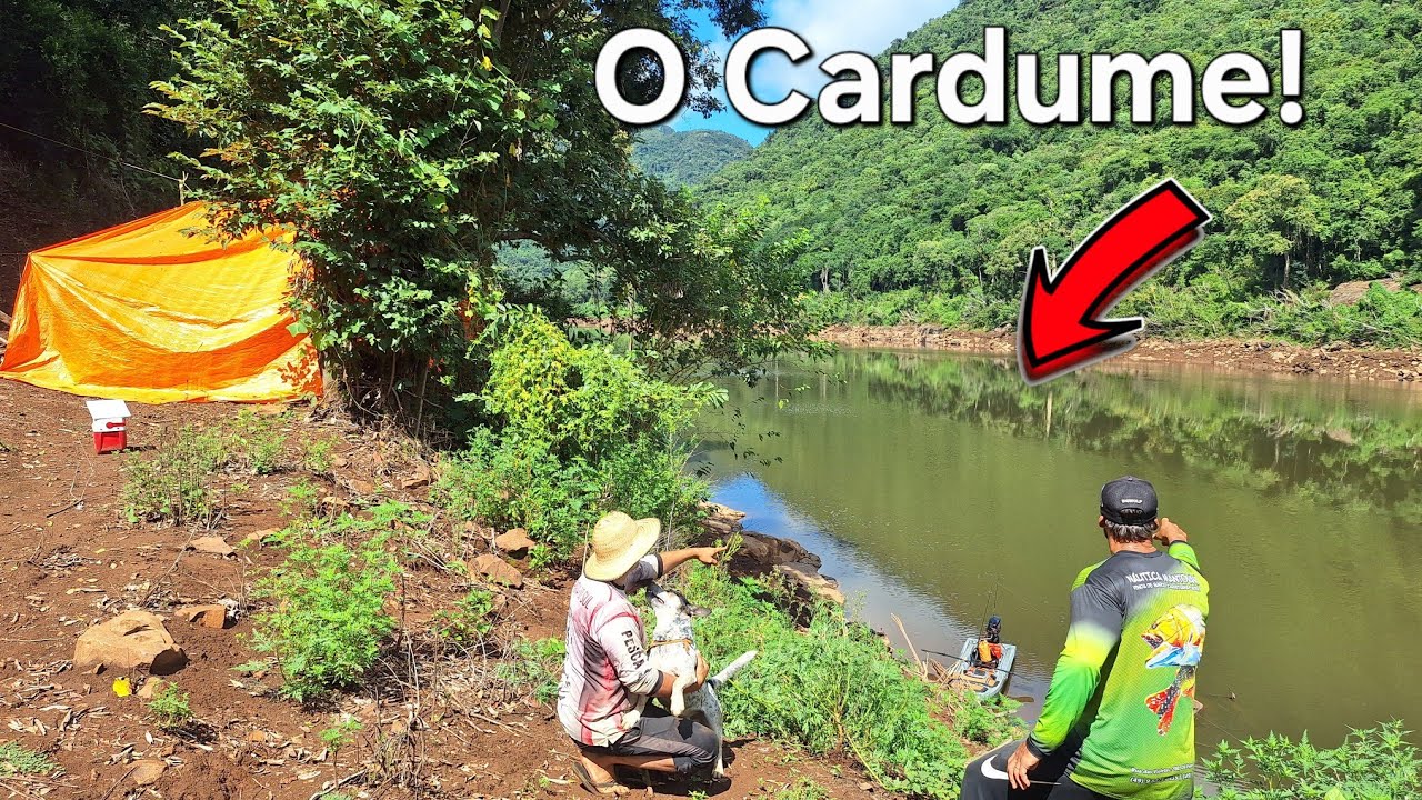 No Mato com Chuva! Traíra de Fundo ,Bóia de Panela e Parceria ,pesca.@ocaipiradosul 