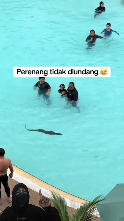 What Happened Today While You Were Swimming? Please Pay Attention