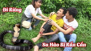 Su Hào Đi Vào Rừng Sâu Bị Rắn Cắn - Snake Attack