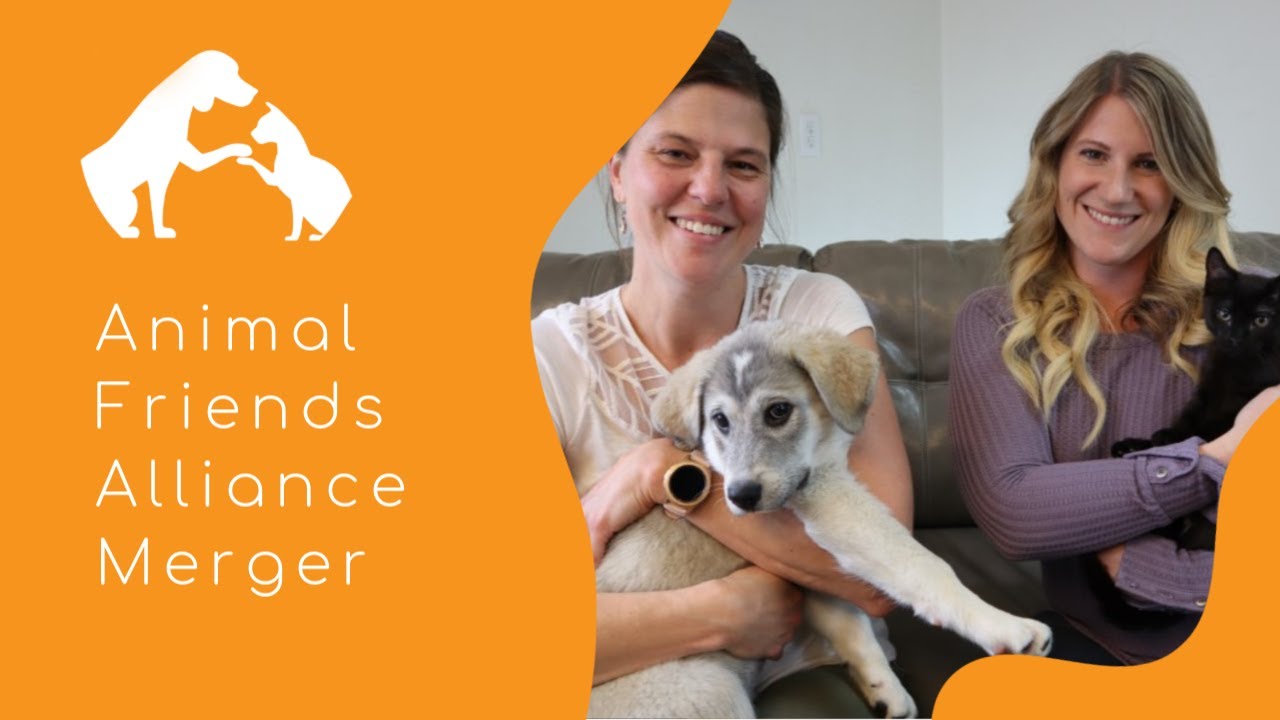 Animal Friends Alliance Merger Video