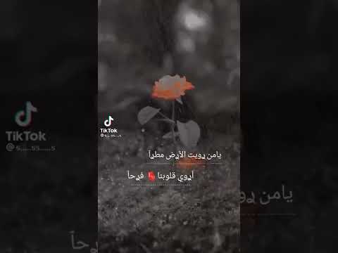 الشتاء فصل الخير والعطاء 