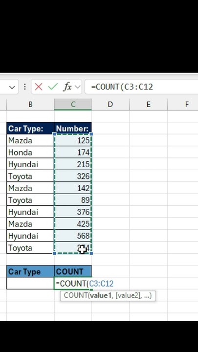 How to Use the COUNT Function in Excel | Complete Beginner's Guide ...