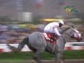 DEEPAK - Clasico Gr. Pr. LATINOAMERICANO DE JOCKEY CLUBES 2008 - Especial