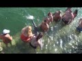 Swimming with the Dolphins - Melia Marina Varadero Cuba