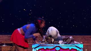 Samson & Marie Christmas Show 2026 | Tickets available now