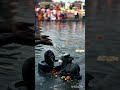om namah shivay