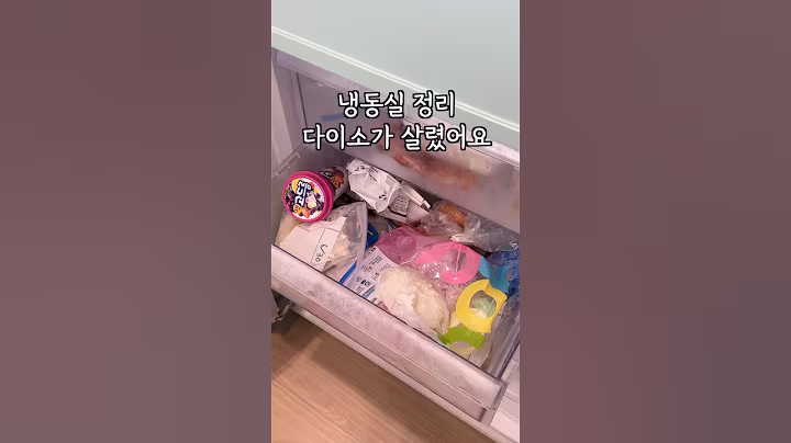 막막한 냉동실 정리 다이소가 살렸습니다