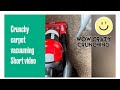 sanitare professional vacuum, King County Wa, Carpet Cleaning Service, Low Moisture