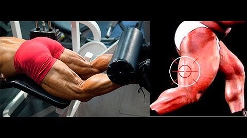 The 10 Best Hamstring Exercises you Need to Do