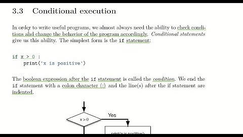 3.3. Conditional Execution