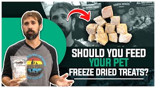 Should YOU feed your dog freeze dried treats?