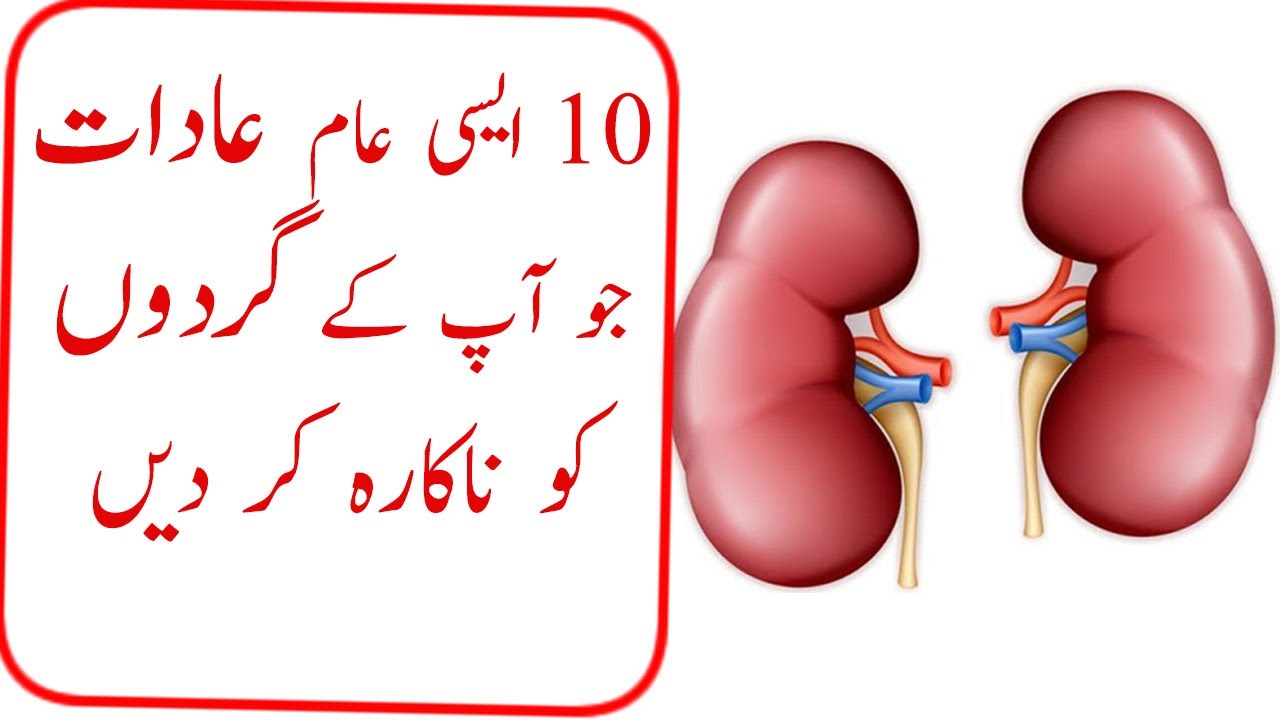 can allopurinol hurt your kidneys