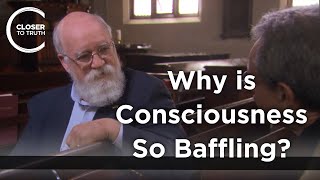Daniel Dennett  Why is Consciousness so Baffling? (Part 1/2)
