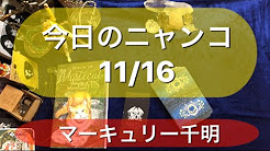 今日のニャンコ Youtube 今日のニャンコ Youtube