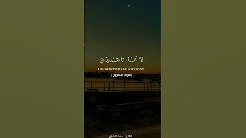 سورة الكافرون | القارئ : سعد الغامدي |