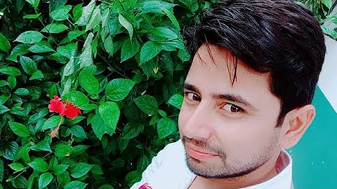 Class 9th exercise 8.1 Quadrilateral chapter question 10 to 12