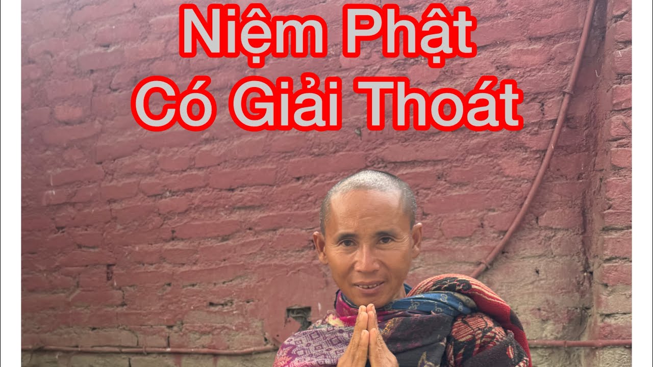 Niệm Phật Như Thế Nào để Giải Thoát? #buddha #dhutanga #entertainment #peace  