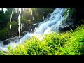20 minutes of relaxing Javanese gamelan sounds