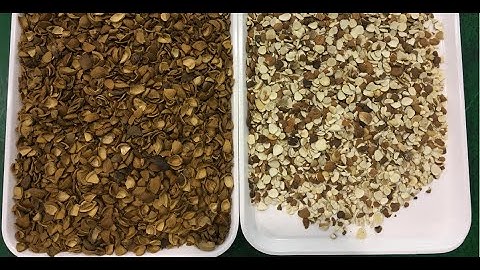 Infrared Optical Colour Sorter for Almond Shell and Nuts Separation