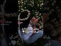 خالفي الورد وازهري في كل الفصول