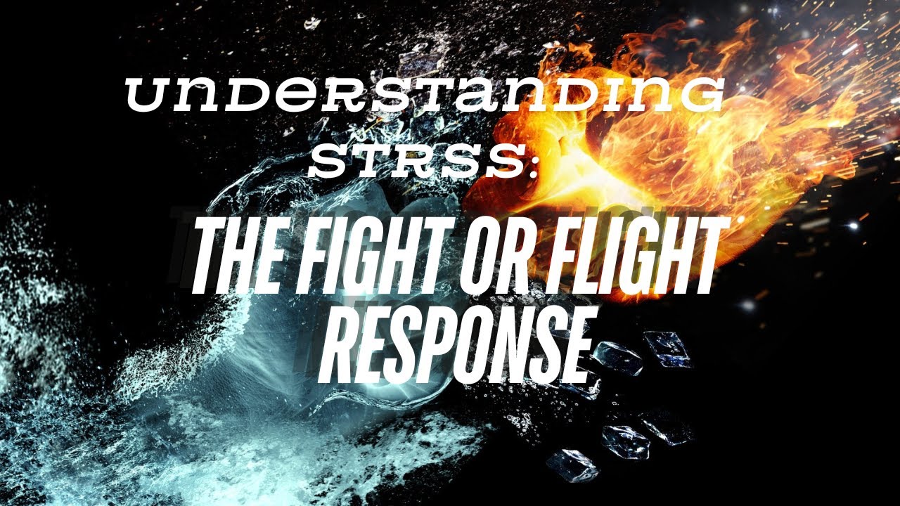 Understanding Stress: The Fight or Flight Response - YouTube