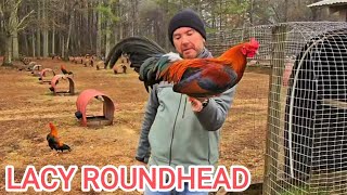 Juan Santos Lacy Roundhead Jeremy Chandler