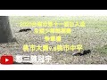 2020.10.31_2-18【2020台南市第十一屆巨人盃全國少棒錦標賽】季軍賽G79~桃市大勇v.s桃市中平《隨隊駐場直播No.18隨高市復興少棒隊在台南市亞太國際棒球訓練中心少棒副球場》