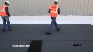 Paracoat Application: Step 5. Grid application area.