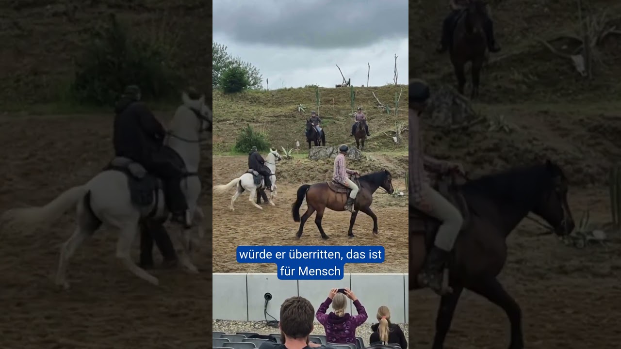 Festspiele Burgrieden: Probe mit Pferden 