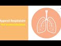 Appareil respiratoire