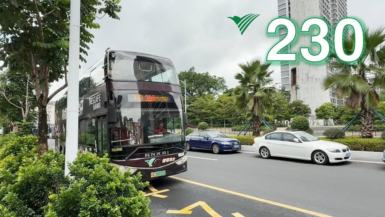 【廣州即日快奔體驗-巴士篇#1】廣州新穗巴士230綫 南邊路往華工大 全程行車片段 Guangzhou Sunshine Bus Rt.230 Nanbian Road to SCUT 