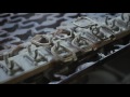 Making of Propwood Wooden Sunglasses Making of Propwood Wooden Sunglasses