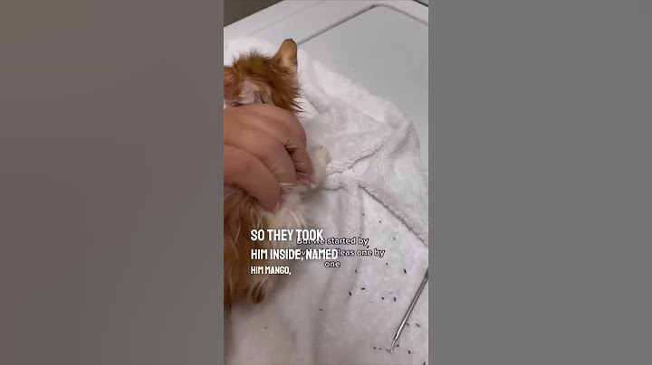 They saved this cat’s life ❤️👏