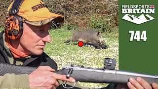 Fieldsports Britain - Wild boar frenzy