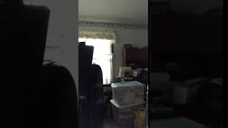 GISH #37 - TAKE 2 20200425