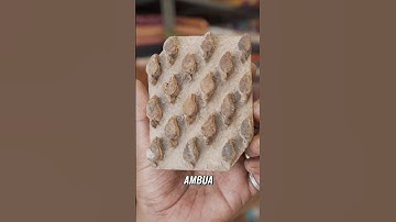 Ancient Art of Block Printing – The Story of Ambua 🍃✨ #Pushkar #Handmade #ArtisanCraft