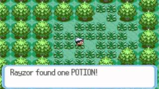 Pokemon Ruby Walkthrough Part 4: Petalburg Woods