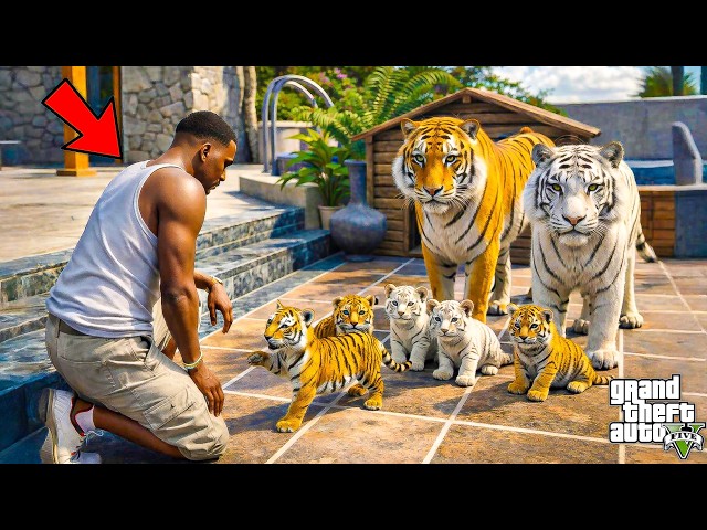 Franklin Finally Found the Dangerous White Tiger 😱 | GTA 5 Telugu | Dhanu Dino