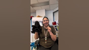 Learn how to say beaver in Cree with Miss T!✨ #teachersofyoutube #learncree #plainscree