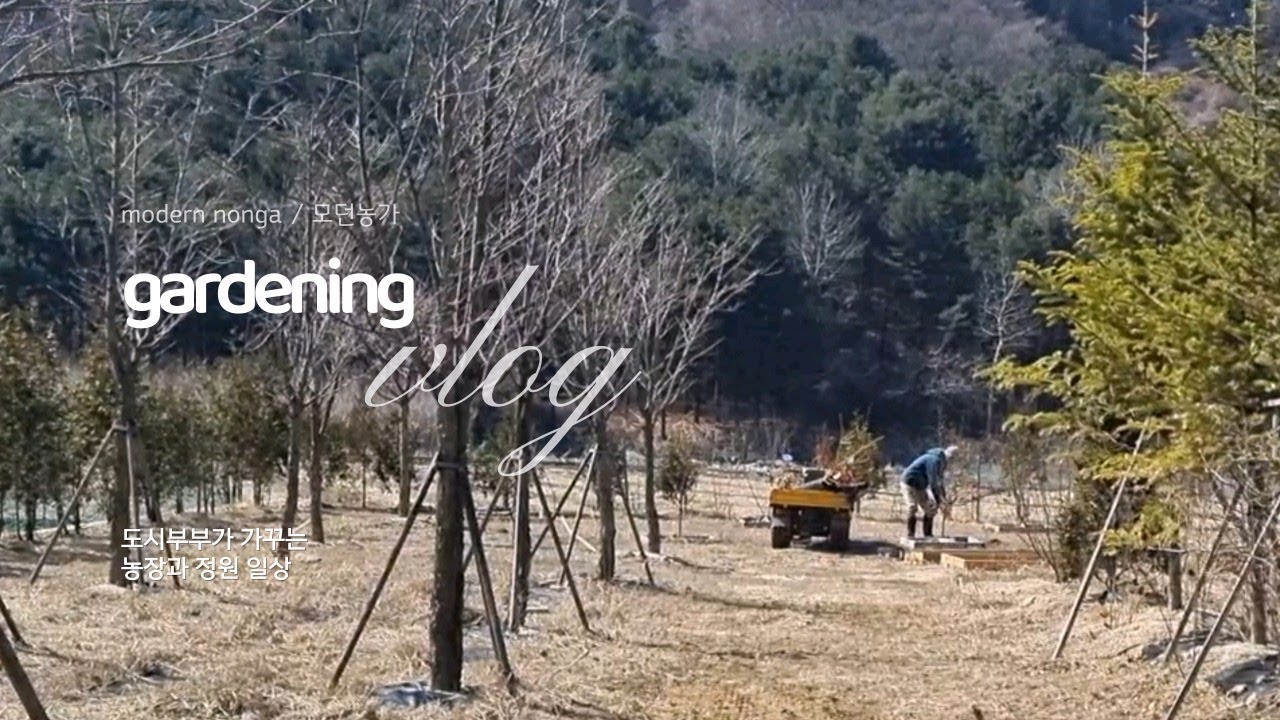 2024봄본격가드닝의시작/나무심기/도시부부가 만드는 농장과 정원일상