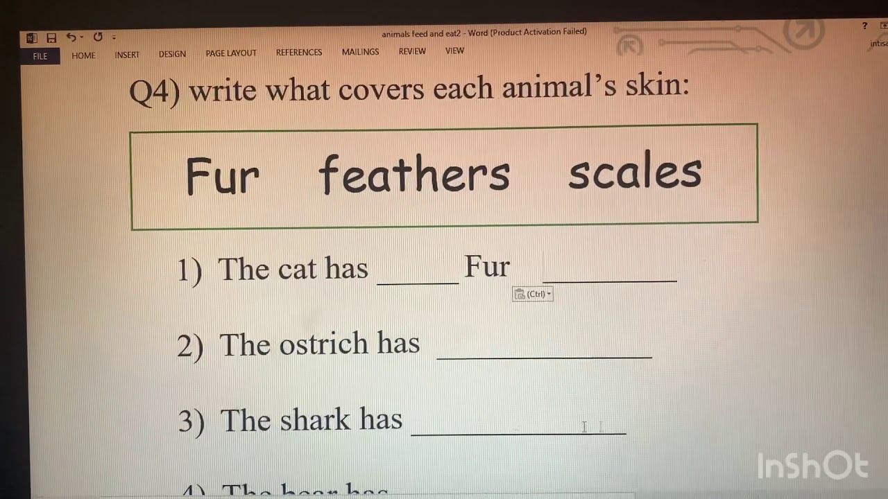 science revision worksheet youtube