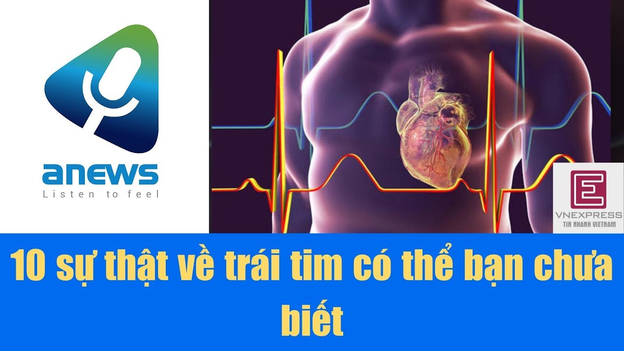 10 sự thật về trái tim có thể bạn chưa biết - YouTube