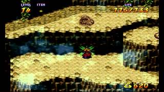 Terranigma Part 14 Lion's Den and Liam's Quest to become the next King