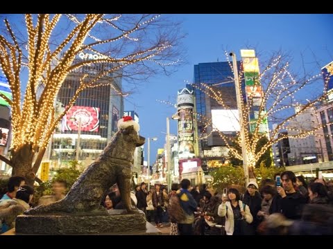 Video: Kus On Ustava Ja Pühendunud Koera Hachiko Monument