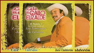 Lalo el gallo Elizalde - Puros Corridos Mix