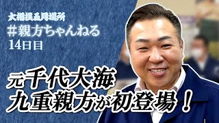 元 千代大海の九重親方が初登場！親方ちゃんねる生配信＜令和4年五月場所・14日目＞SUMO