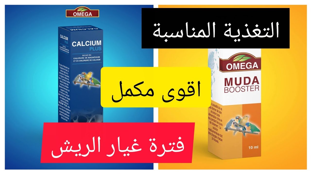 اقوى مكمل في فترة غيار الريش