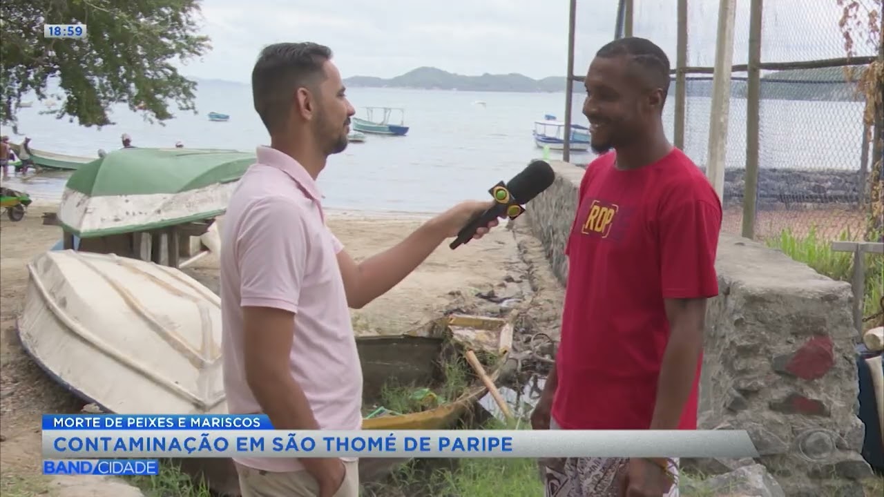 Contaminação de praia em Salvador - Band Cidade