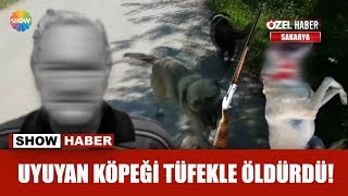 Uyuyan köpeği tüfekle öldürdü! Resimi